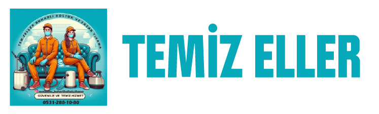 Temiz Eller Koltuk Yıkama